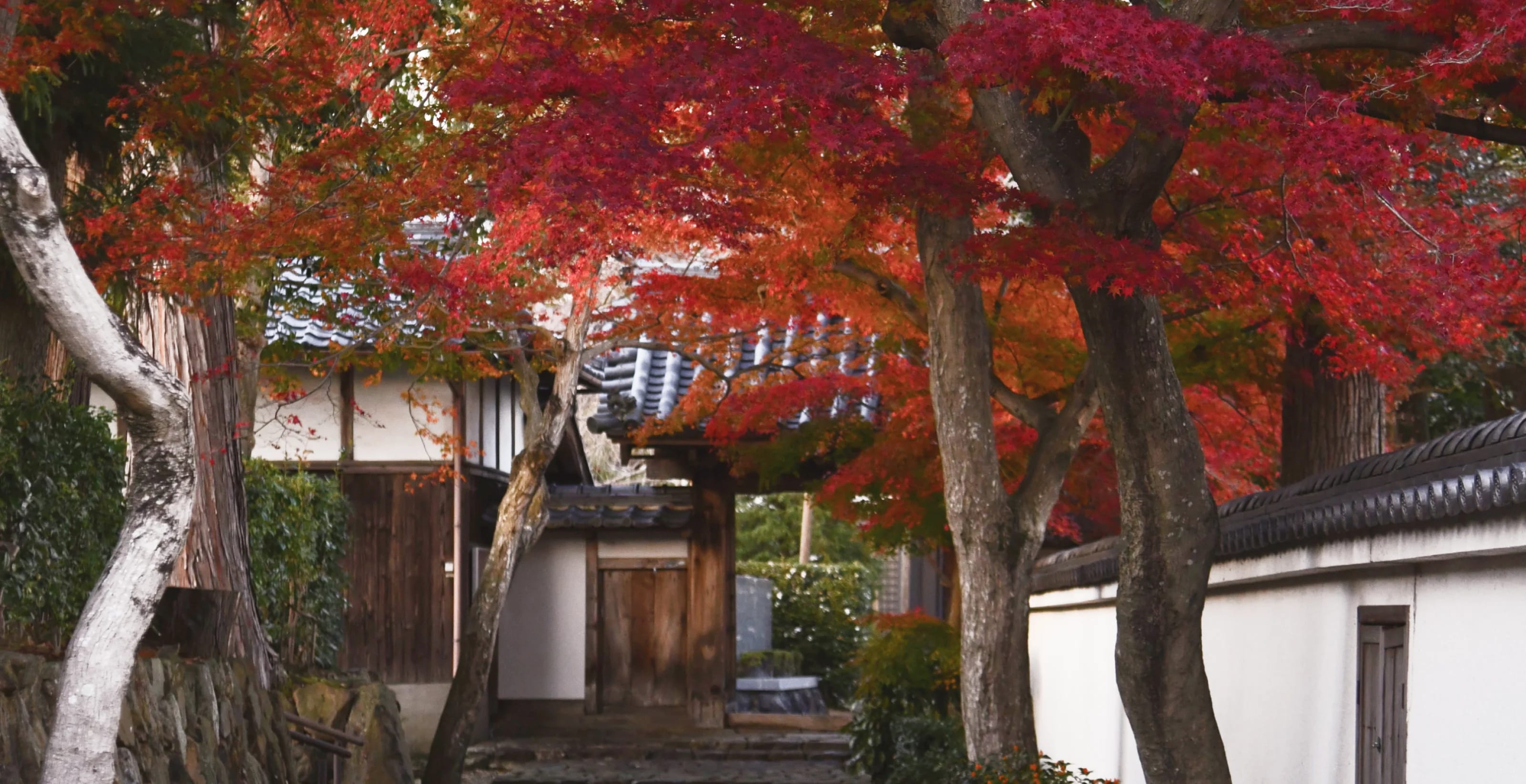 Image 2 of 10 in carousel.